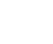 WYF_PrimaryLogo 1